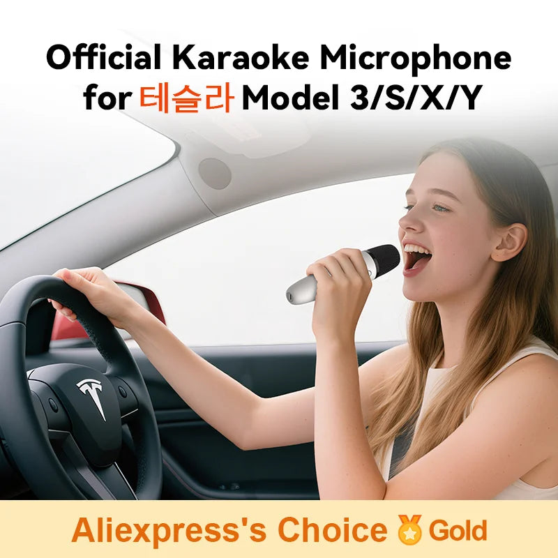 Micrófono Karaoke Inalámbrico para Auto — USB-A y USB-C